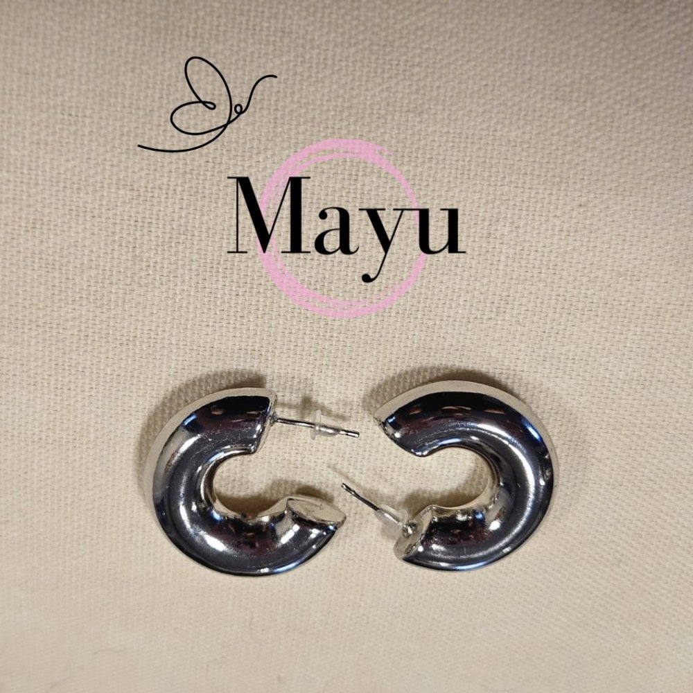 NWT Stainless steel earrings